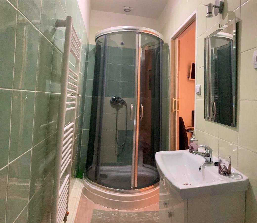 Vila Lesana Nová Lesná المظهر الخارجي الصورة