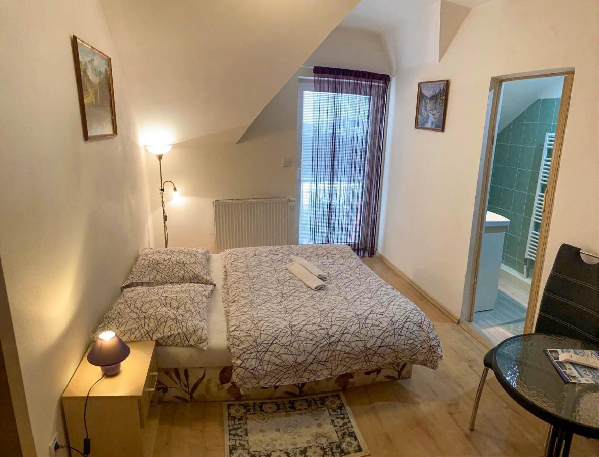 Vila Lesana Nová Lesná المظهر الخارجي الصورة